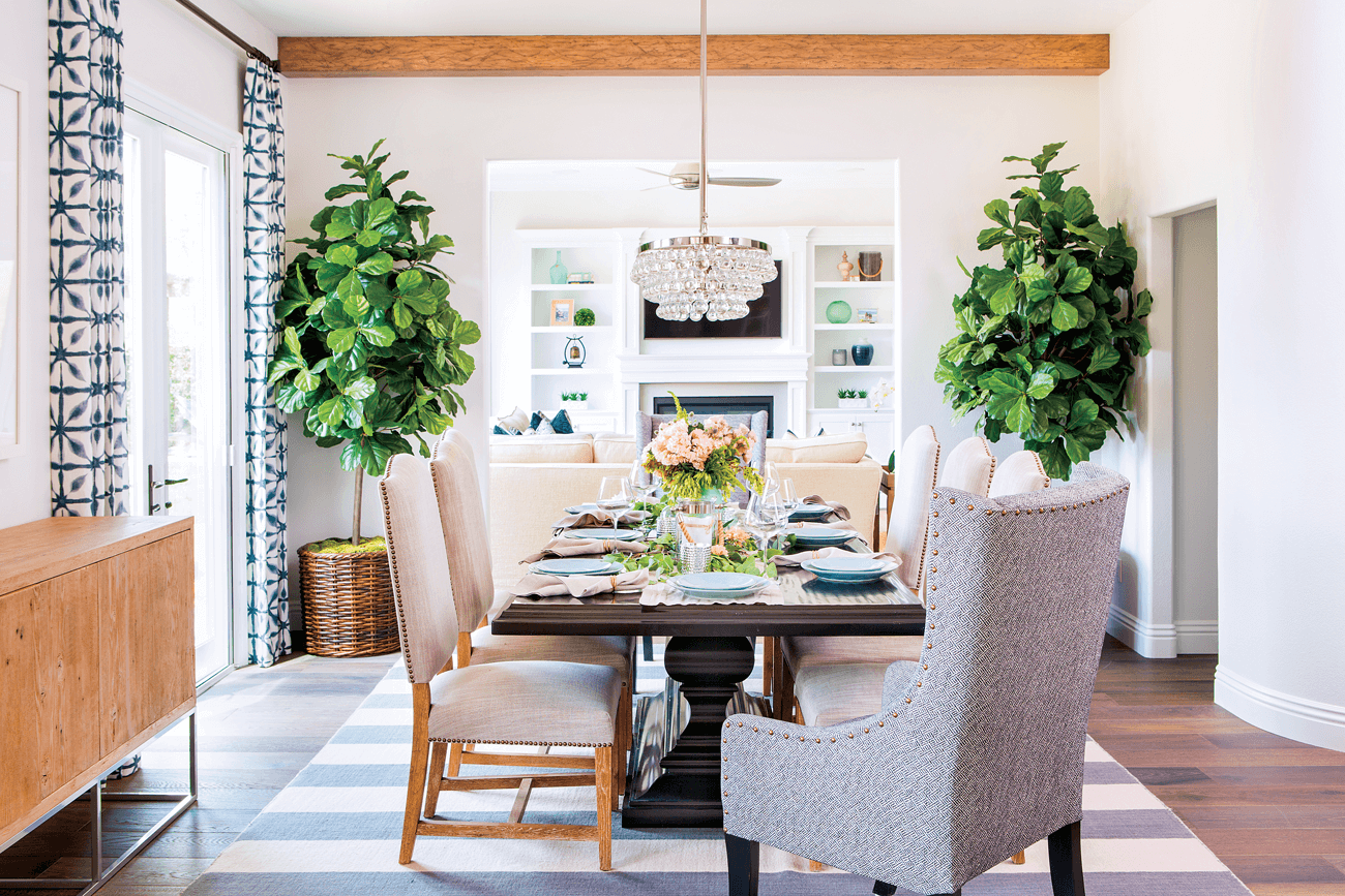 a relaxed coastal dining room with a pair of fiddle leaf fig trees