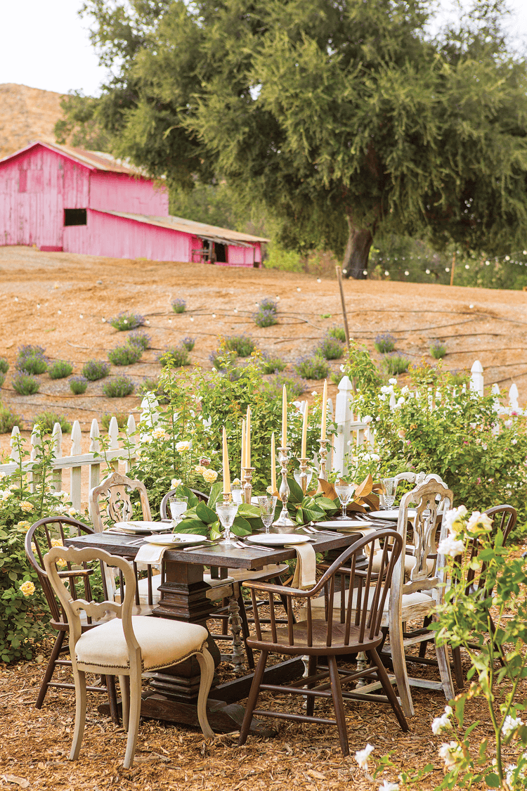 A rustic farmhouse table set for wedding guests in the midst of a rose garden with a red barn in the background.