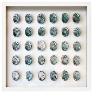abalone shells in picture frame