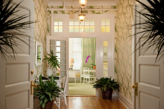 View down a wallpapered hallway with well-placed indoor plants and open and welcoming white doors.