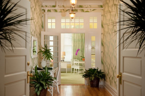 View down a wallpapered hallway with well-placed indoor plants and open and welcoming white doors. 