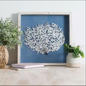 white coral framed in a blue shadowbox