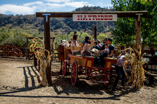 Visitors take a horse drawn hayride at Los Rios Ranchos. 