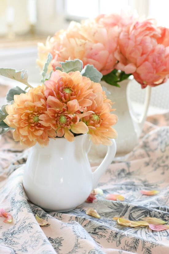 A pair of white small pitchers, in the front, peach colored dahlias and in the rear pink peonies.