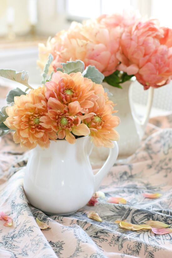 A pair of white small pitchers, in the front, peach colored dahlias and in the rear pink peonies. 