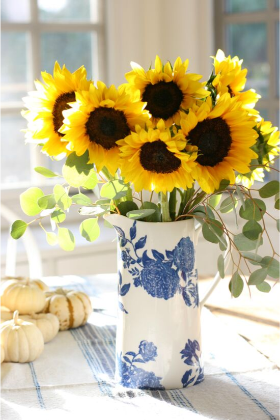 An arrangement of large sunflowers In a tall blue and white vintage pitcher with small pumpkin displayed in the background. 