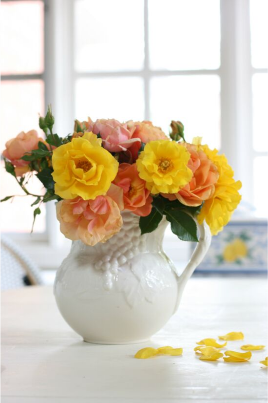 White, embossed pitcher filled with fresh garden roses in shades of pink, orange and yellow.