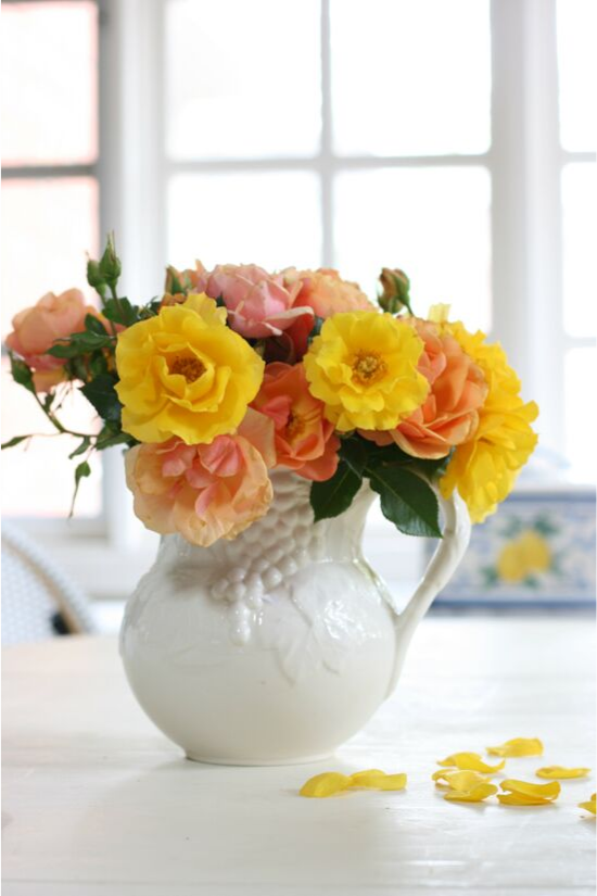 White, embossed pitcher filled with fresh garden roses in shades of pink, orange and yellow. 