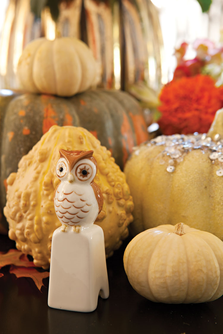 Various pumpkins and gourds create a centerpiece around a small vintage owl.