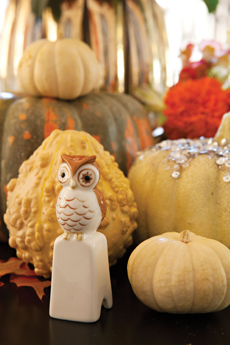 Various pumpkins and gourds create a centerpiece around a small vintage owl. 