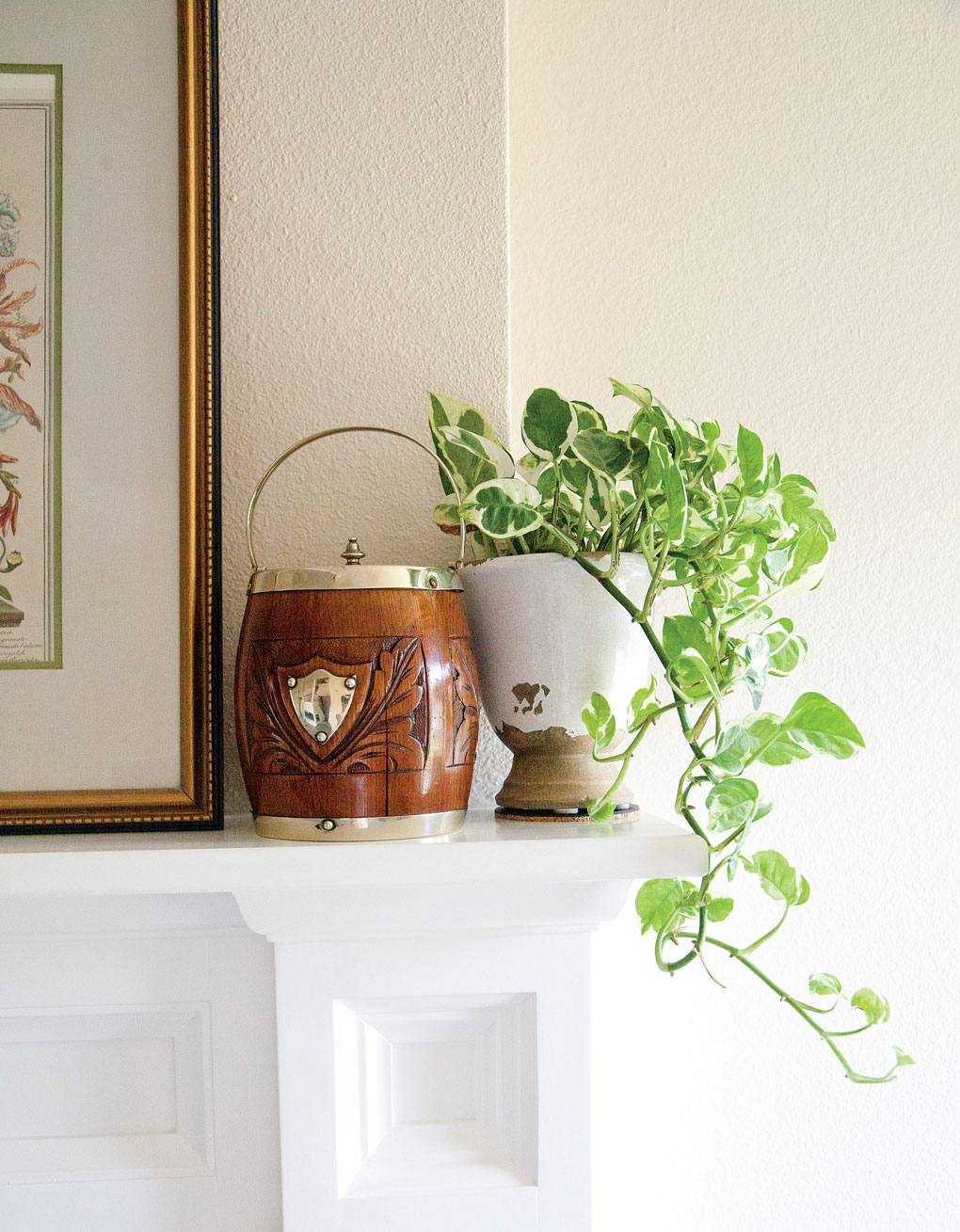 Wooden biscuit barrel perched on a mantel next to a potted indoor plant. 