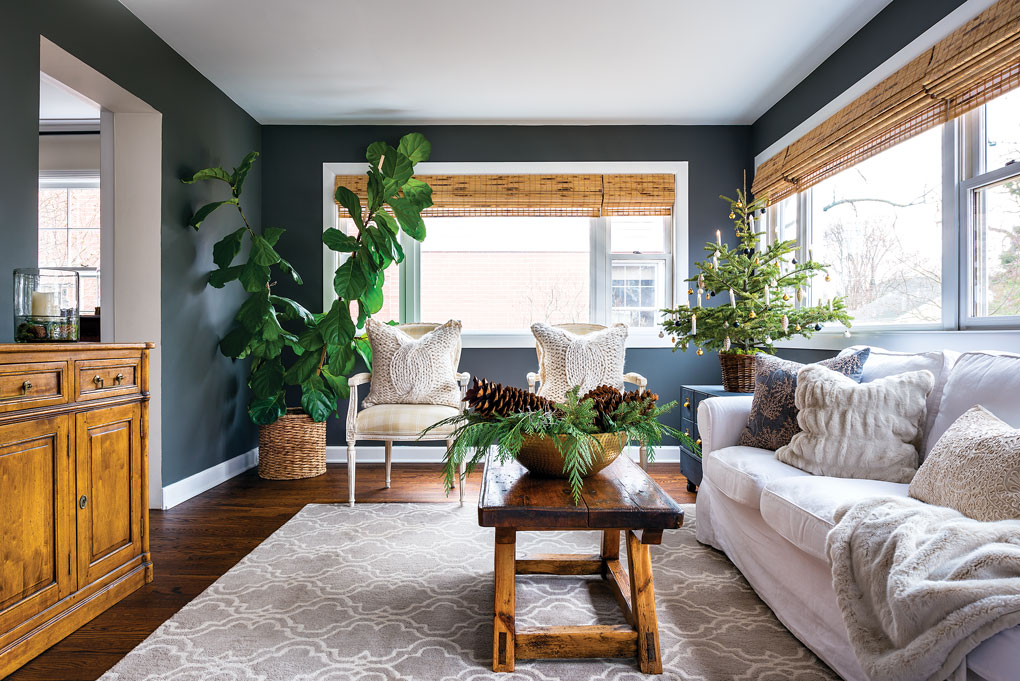 Two large windows let in bright light to this cozy living room with dark walls and light furniture and a bright green fiddle leaf fig tree in the corner.