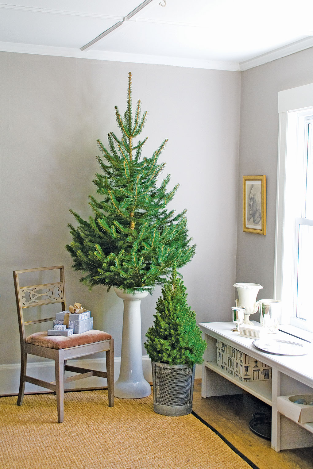 Corner of a room with light gray walls and white trim displaying bare Christmas trees as a pop of bright green decor. 