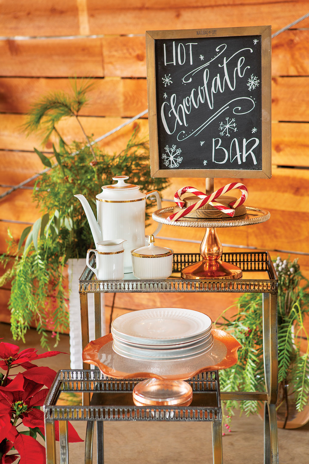 How chocolate bar with chalkboard signs and dishes surrounded by greenery and poinsettias. 