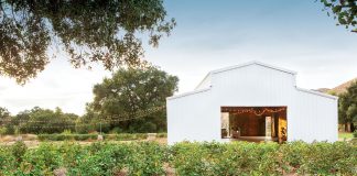 Vineyards in front of a large white barn with open door and warmth coming from inside.