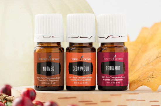 Set of three fall themed essential oils.