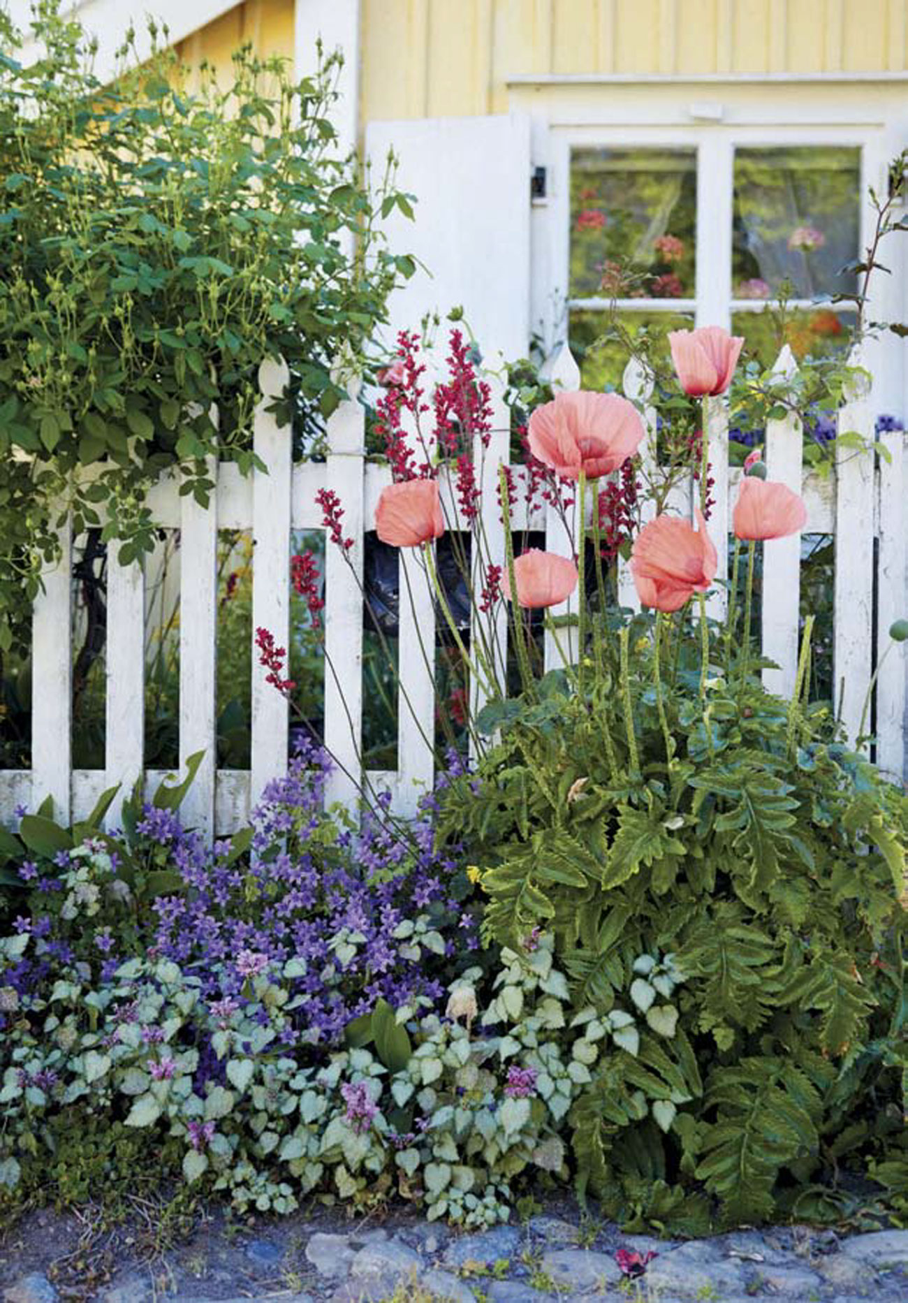 Yellow cottage with a white wooden fence overgrown with pink and purple florals. 