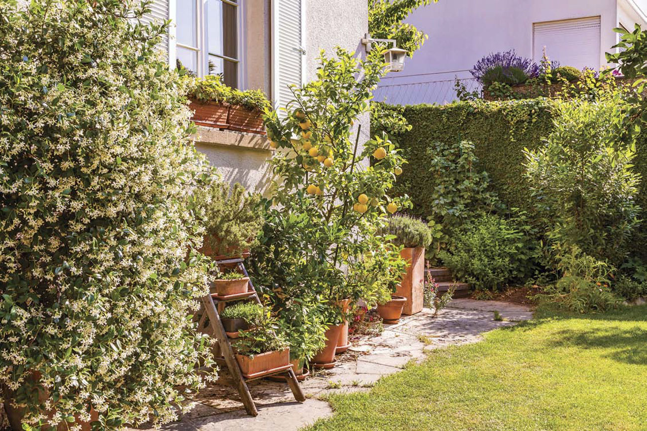 Climbing jasmine surrounding unique containers filled with plants and flowers. 