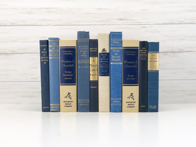 blue home decor decorative book set 