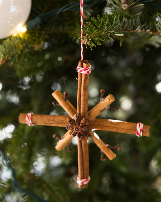 Cinnamon stick ornament in the shape of a star, hanging in a pine tree. 