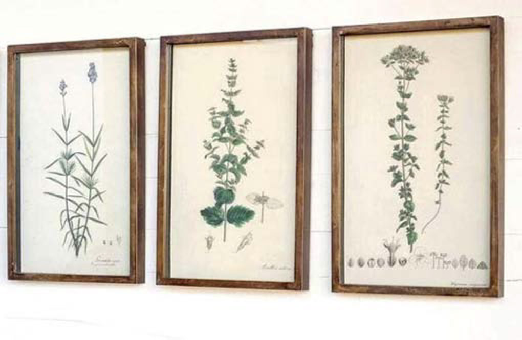 Three botanical prints in wooden frames.