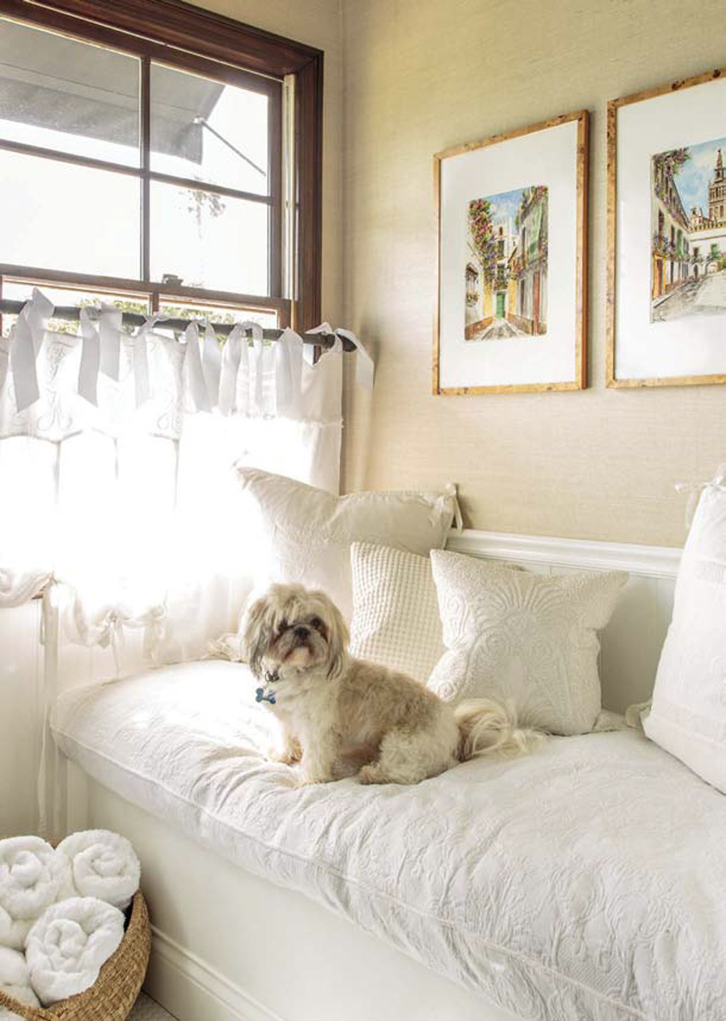 All white seating area under a bay window with small white Shitzu puppy sitting down. 