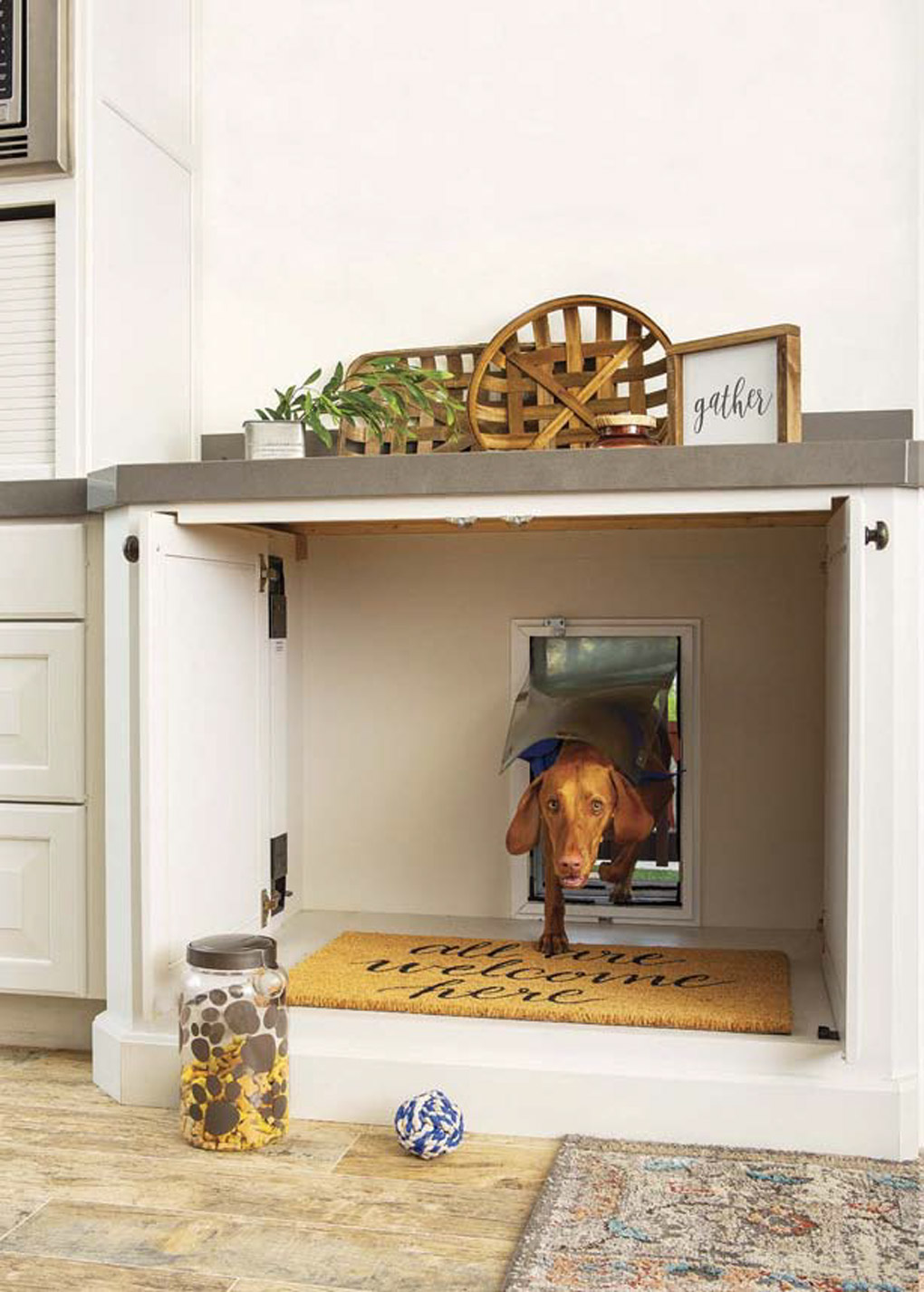 kitchen remodel with custom cabinets that open to a doggie door with a chocolate brown dog coming inside. 