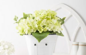 White wall accents with a white vase of Chartreuse colored flowers in the foreground.