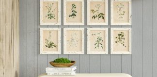 Framed botanical prints hung on a blue shiplap wall above a cream colored chest.