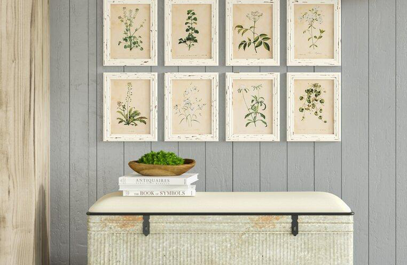 Framed botanical prints hung on a blue shiplap wall above a cream colored chest.