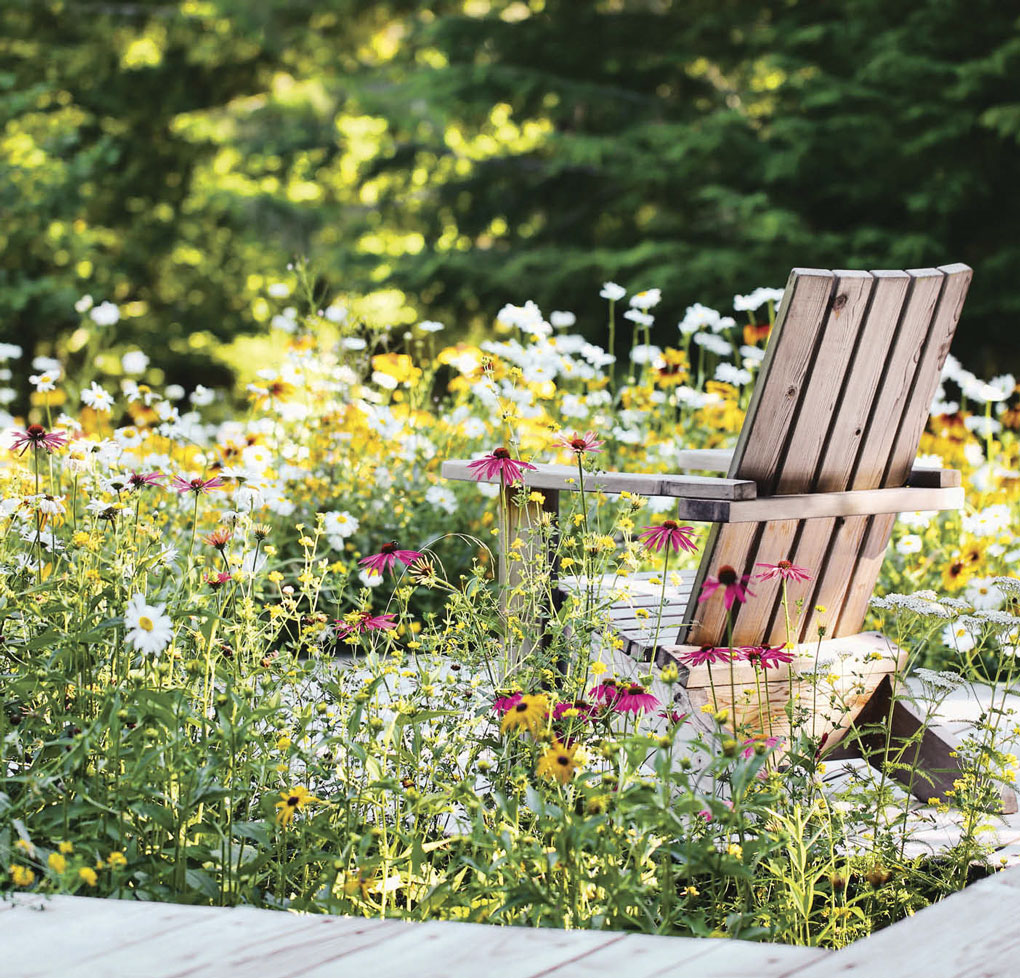 Rustic wooden Adirondack chair surrounded by a field of wildflowers. 