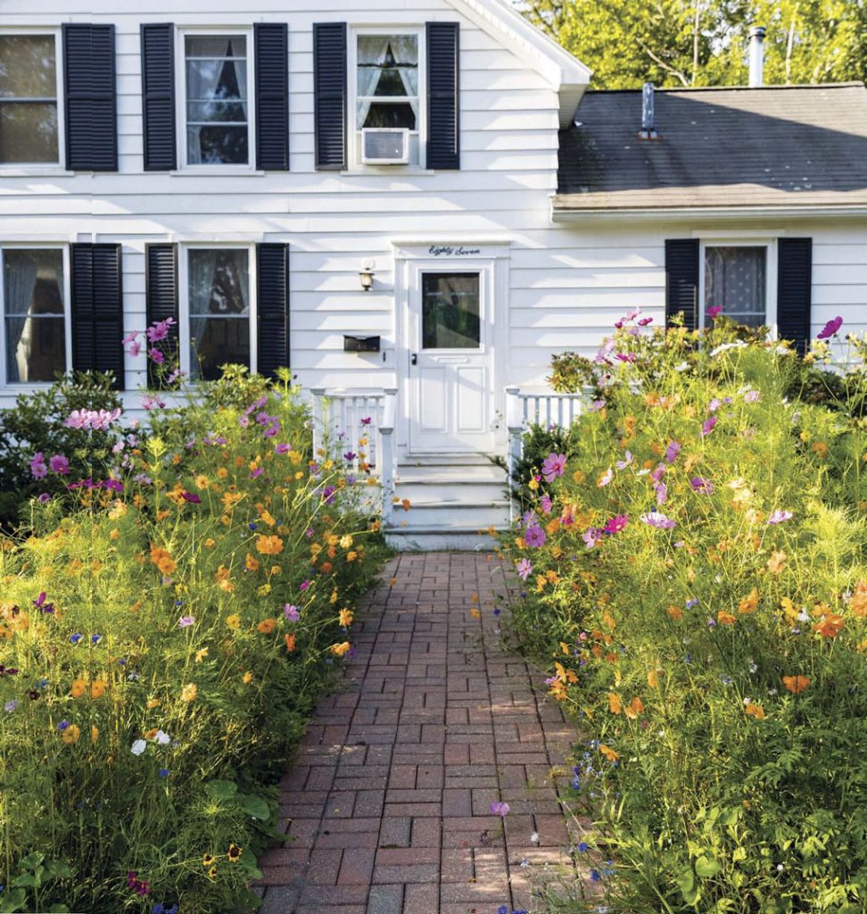 Exterior shot of a white home with wood siding and navy blue shudders, a brick path surrounded by wildflowers that leads to the front door.