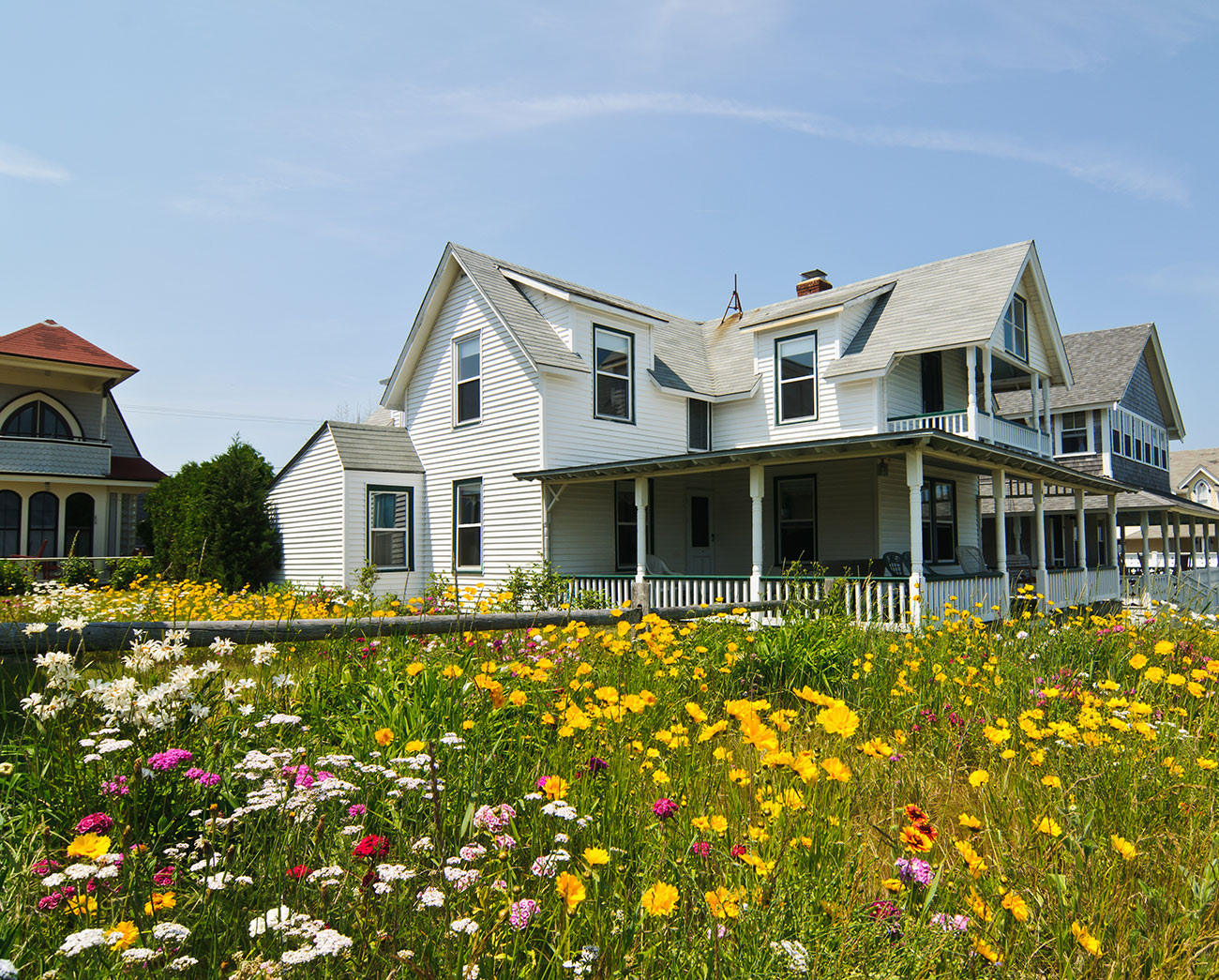 Field of wildflowers behind a Victorian cottage.