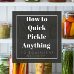 How to Quick Pickle Anything