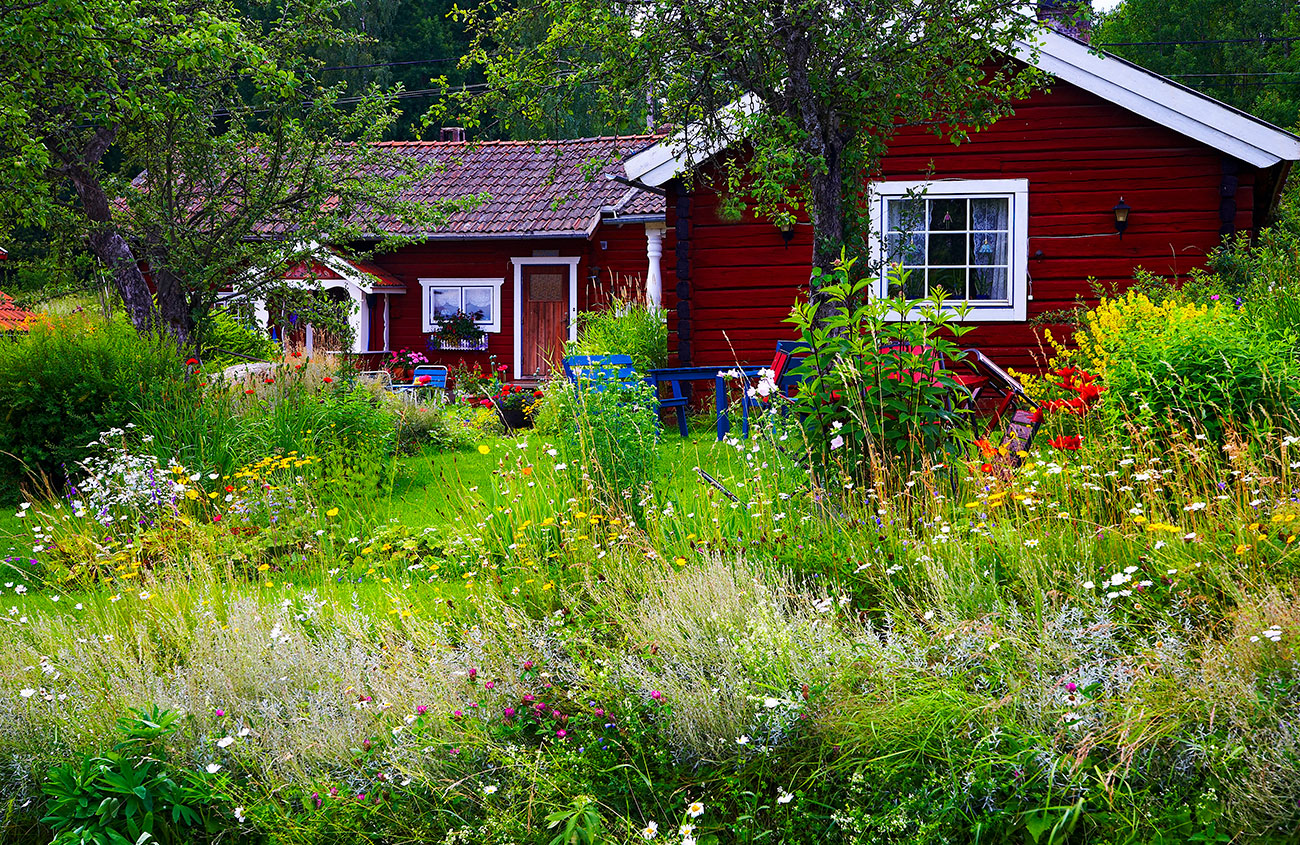 Red barn colored cottage surrounded by a meadow garden of wildflowers.