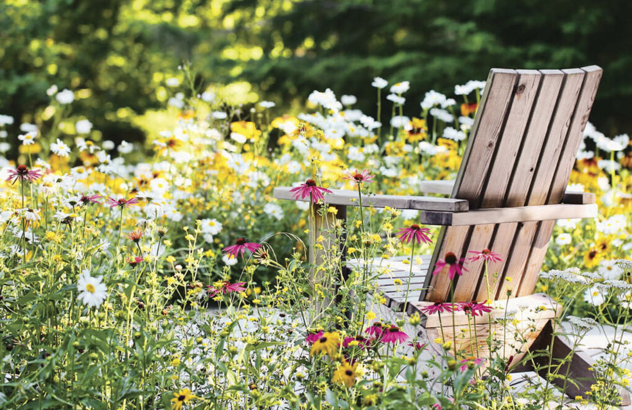 Rustic wooden Adirondack chair surrounded by a field of wildflowers.