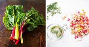 quick pickle rainbow chard