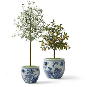 large blue and white ming dynasty style ceramic cottage style indoor planters
