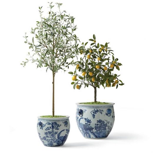 Charming Cottage-Style Indoor Planters - Cottage style decor