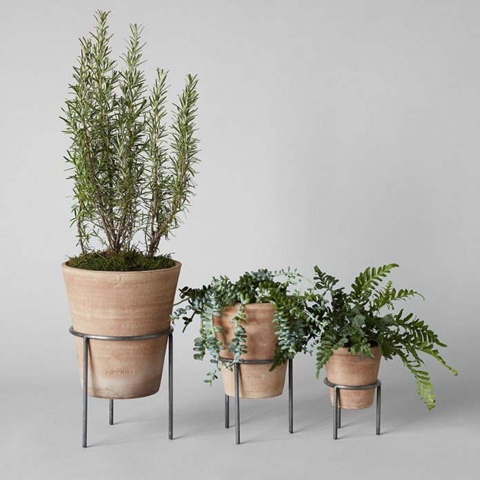 Charming Cottage-Style Indoor Planters - Cottage style decor