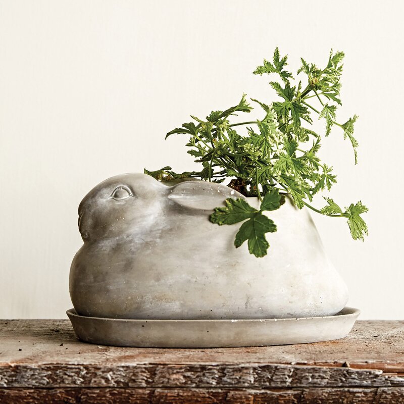 concrete bunny cottage style indoor planter