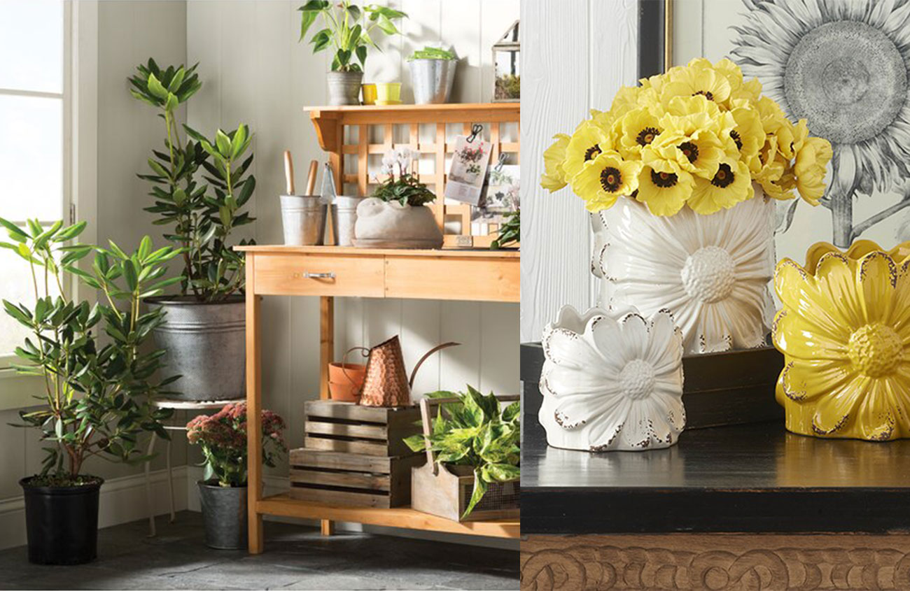 Use indoor flower pots to spruce up your home decor; here's how