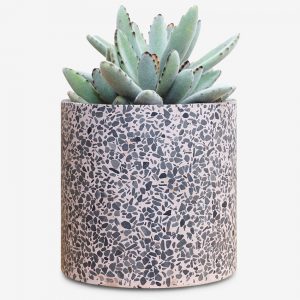 terra cotta planter