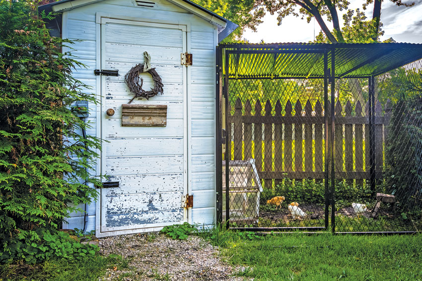 Chicken caging area outdoors of a cozy country cottage