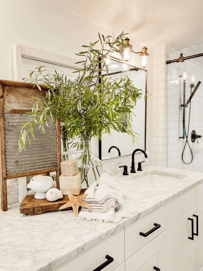 Beachside bathroom décor with live plants and sea shells