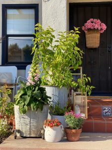 Plants and flowers on a cottage's front porch.