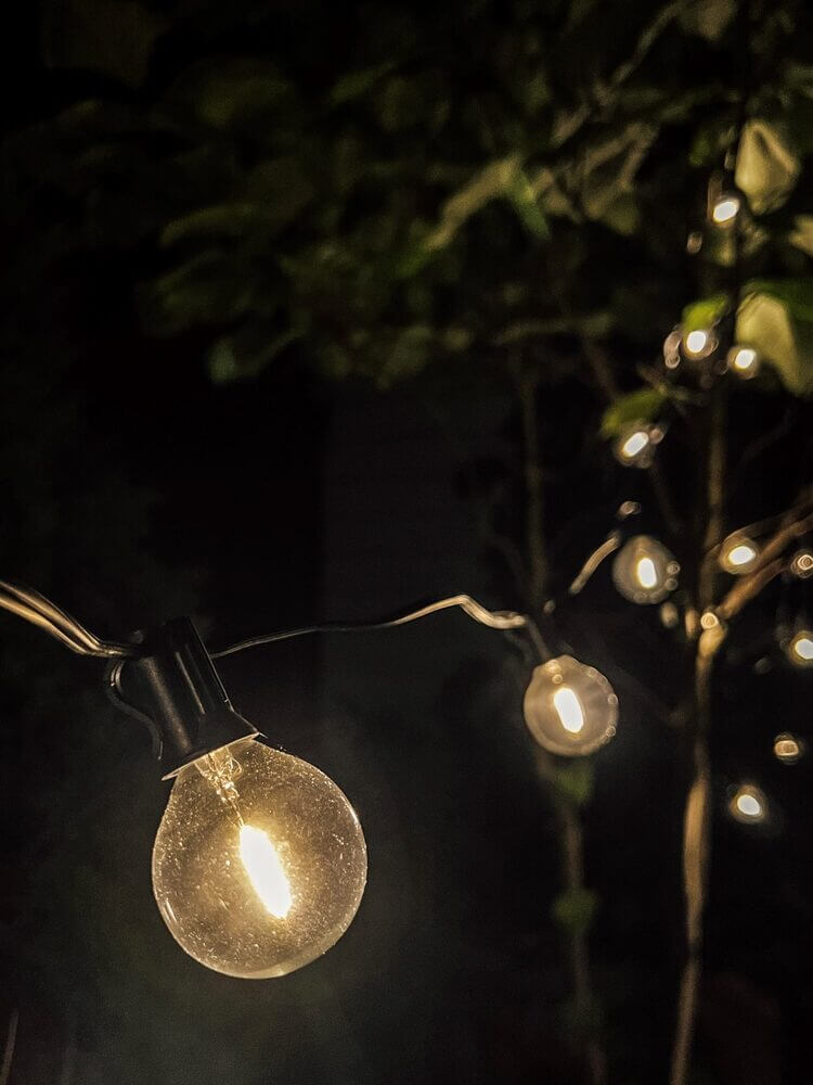 Light bulbs on a string, hung in a tree