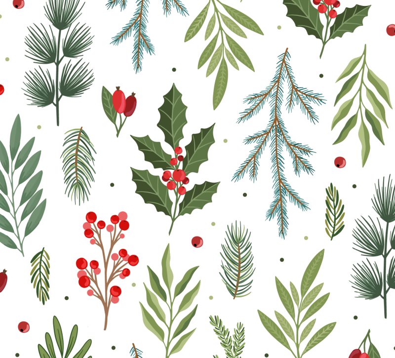 Print background with Christmas tree branches and holly twigs