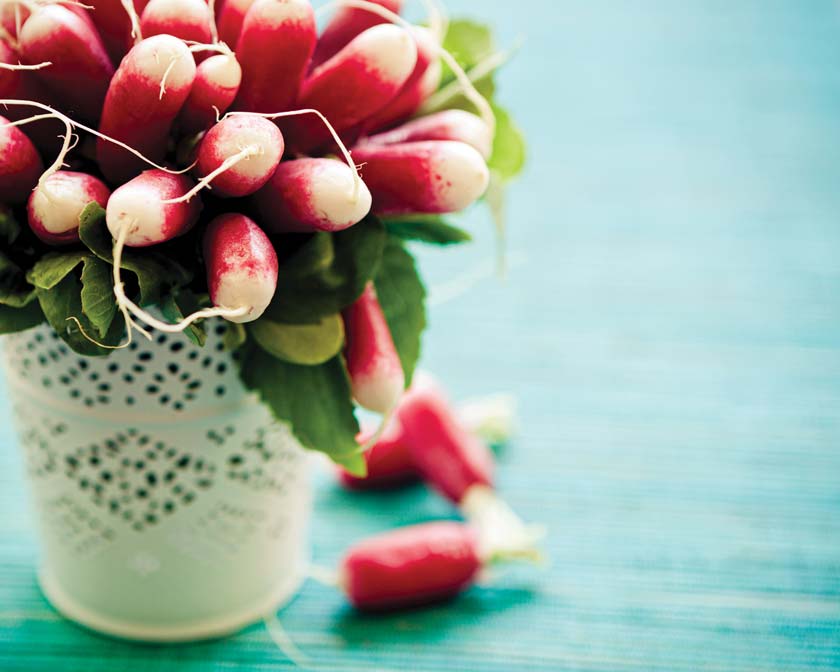 bouquet of radishes from farmers market