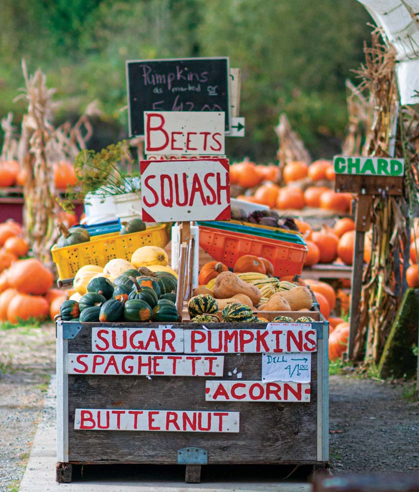 farmers market in the fall with squashes and handpainted signs